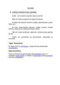 As características gerais das algas