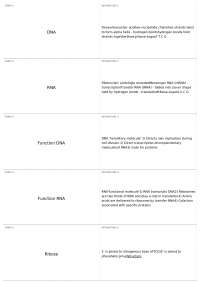Biology Notes: DNA and RNA Structure and Function