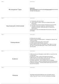 Evolution of Eukaryotic Cells: From Prokaryotes to Mitochondria and Chloroplasts