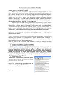Práctica 6: Patrons de secuencias PROSITE y TRANSFAC