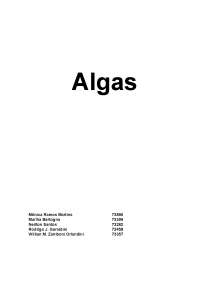 Trabalho de Algas