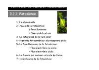 Estructura y funcionamiento de las plantas: Fotosíntesis - Prof. Suy