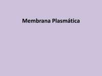 Aula 4 - Membrana Plasmática