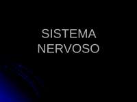 A neurologia na classificação geral da anatomia