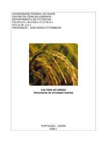 Arroz - Apostilas - Agronomia