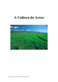 A Cultura do Arroz - Apostilas - Agronomia