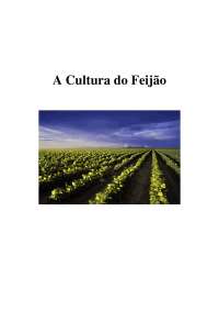 A Cultura do Feijão - Apostilas - Agronomia Part1