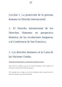 Derecho internacional de los derechos humanos - Apuntes de Derecho ...