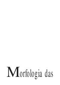Morfologia das Cidades III
