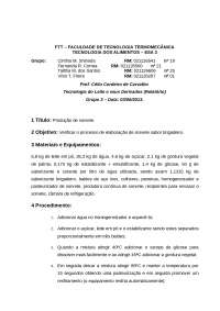 Relatório Sorvetes