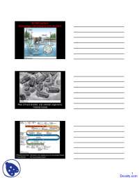 Geobiology - General Geology - Lecture Slides - Docsity