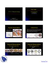 Contact Metamorphism - General Geology - Lecture Slides - Docsity