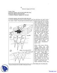 Intrusive Igneous Rocks - General Geology - Lecture Notes - Docsity