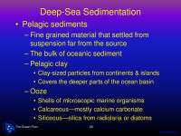 Deep-Sea Sedimentation - Environmental Geology - Lecture Slides - Docsity