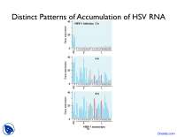 Distinct Patterns - Human Resource - Lecture Slides