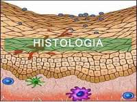Introdução e Tecido epitelial