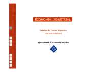 Tema 2 economía industrial