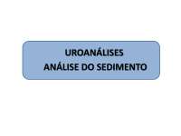 Exame - do - Sedimento - Urinario