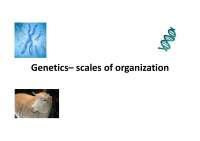 Genetics: From DNA to Proteins and Phenotype
