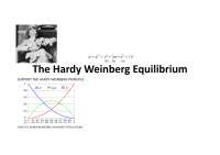24 - Hardy-Weinberg Equilibrium