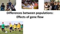 Gene Flow: Impacto na Convergência de Frequências Allelóicas em Populações