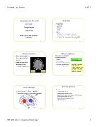Language and Brain - Introduction to Cognitive Psychology - Lecture ...
