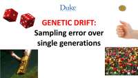 32 - Genetic Drift and Sampling Error