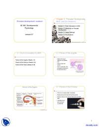 Prenatal Development, Newborn - Developmental Psychology - Lecture ...