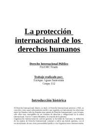 LA PROTECCIÓN INTERNACIONAL DE LOS DERECHOS HUMANOS. - Apuntes de ...