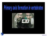 Vertebrates - The Beginning of Life - Lecture Slides