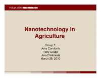 Nanotechnology in Agriculture - Nanotechnology - Lecture Slides