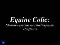 Equine Colic - Radiology - Lecture Slides