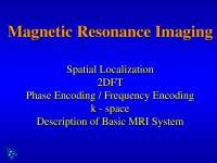 Spatial Localization1 - Magnetic Resonance Imaging - Lecture Slides ...