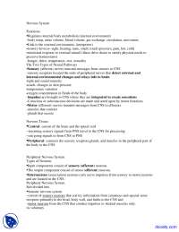 Nervous System - Human Body Anatomy - Lecture Notes | Study notes ...