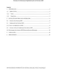 sistema ERP