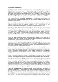 Història d'Africa, procès d'homanització