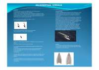 acustica y alimentacion baleanoptera borealis