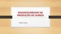 Biosseguridade na produção de suínos
