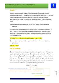 Fundamentos de hidrostática / calorimetria