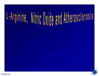Effects of L-Arginine Metabolism and Supplementation on Nitric Oxide