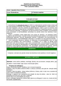 Coloração de Gram