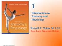 Introduction to Anatomy and Physiology - Lecture Slides | BIOL 230