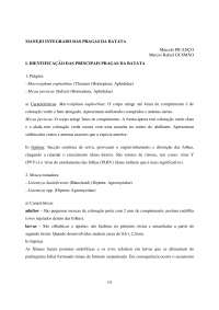 Entomologia Agrícola Parte4