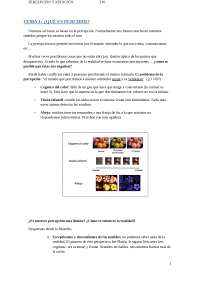 ¿QUÉ ES PERCIBIR? - Apuntes de Psicología - Docsity