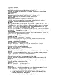Apuntes sobre los Organelos celulares