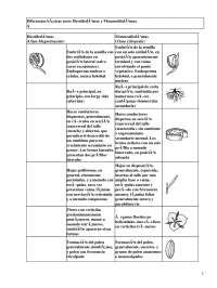 Apuntes sobre Dicotiledóneas y Monocotiledóneas