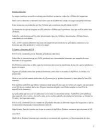 Apuntes sobre el Sistema Endocrino