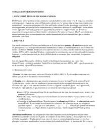 Apuntes sobre los Microoganismos