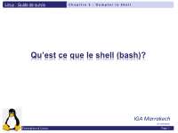 Notes Sur Le Theme Qu Est Ce Que Le Shell Bash Apuntes Fundamentos De La Informatica Docsity