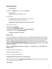 Apuntes sobre las Reacciones Catabólicas